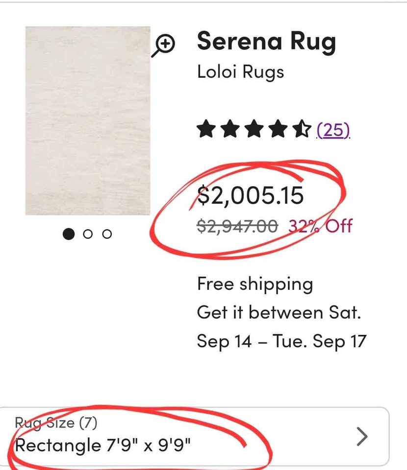 Handmade Serena Area Rug by Loloi 7'9 x 9'9 ft Natural Area Rug, Modern Home Interior Bamboo Arearug, Neutral Palette Rug, Luxurious Area Rug