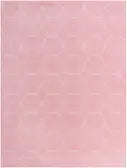 Frieze Area Rug 9x12ft Pink Ivory Trellis rug