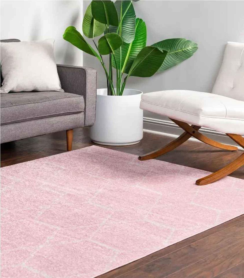 Frieze Area Rug 9x12ft Pink Ivory Trellis rug
