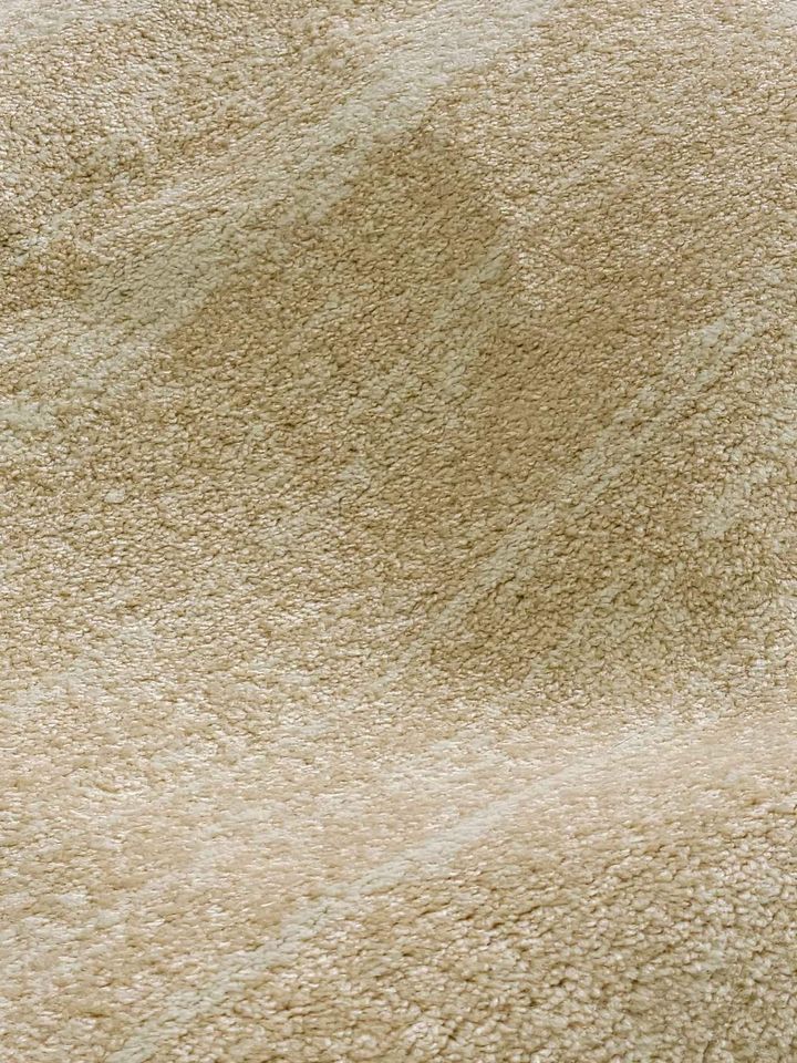 Gold 8x10 Cream Ivory Area Rug
