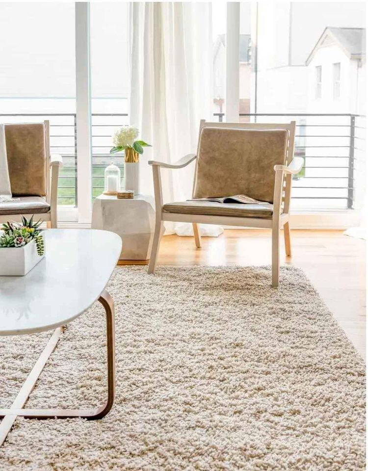 Neutral Tone Area rug 6x9 Taupe Area Shag Rug
