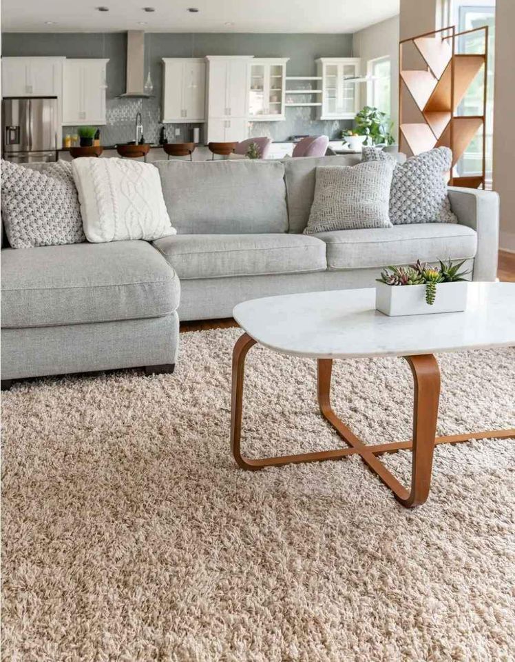 Neutral Tone Area rug 6x9 Taupe Area Shag Rug