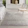 Grey Area Rug 5.x7.6 Carpet Brand new